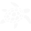 Sea Turtle Turtle White Gift Holiday
