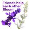 Best_Friends_Help_Each_Other_Bloom_Sign