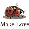 Make Love Ladybug Humor