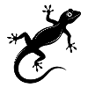 Gecko