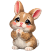Cute Rabbit: Loving Cuddle