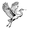 Grande Aigrette