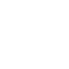 England supporters with wings