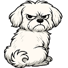 Malteser Maltese Owner Maltese Lovers