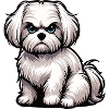 Malteser Maltese Owner Maltese Lovers