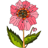 Fleur