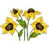 Fleur