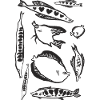 PISCES