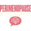 Perimenopause Brain Fog Menopause Midlife Gift