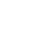 Liege City Brush Script