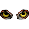 Regard d’hibou – Contraste jaune intense