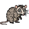 Cute, hand-drawn possum design