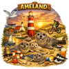 Ameland Beach Coast: Seals and Lighthouse
