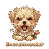 Édition Plattdüütsch : Snutensnacker