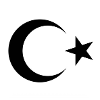 Crescent Moon with Star Silhouette