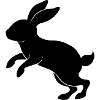 Lapin sauteur