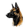 Patriotic US Flag Belgian Malinois Dog