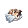 Golden Retriever Therapy