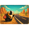 Choupie hitchhiking on desert roads