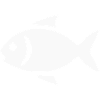 white fish fishing gift angler