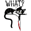 Katze What?