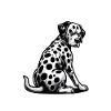 Don't Bother Me Dalmatians Dalmatian Owners