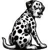 Dalmatians Dalmatian Keepers Dalmatian Owners