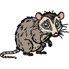 Cute, hand-drawn possum design