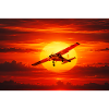 Sunset Flight in Ember Skies