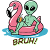 Alien on Flamingo Poolfloat Bruh
