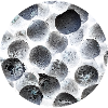Minimalist Frozen Berry 