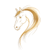 Goldenes Pferdeporträt