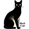 Minimalist Black Cat