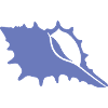 Shell Silhouette Pattern