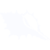 Seashell silhouette on the beach