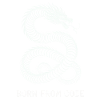 Programmers – Coding Developers & Computer Scientists