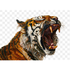 Tiger Roar Art Print
