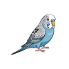 Budgie Sayings Joke Budgie Gift