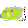 elefant