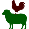 Rooster on Sheep Silhouette – Two-Tone
