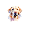 Labrador Therapy Art