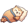 Owl Sleeping