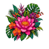 Pink Lotus and Tropical Blossoms Package
