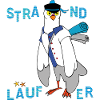 Strandläufer Möwe
