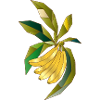Geometric banana tree illustration