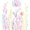 Bunte Blumenwiese Line Art Illustration