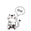 Hey Cat Stroke Drawing