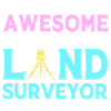 Surveyor