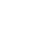 Le caméraman comme style