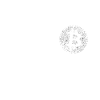 Bitcoin Circuitry Emblem